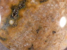 Large Orbicular Ocean Jasper Freeform Palm Stone - 68mm, 225g