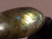 Labradorite Freeform Palm Stone - 65mm, 96g
