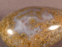 Orbicular Ocean Jasper Freeform Palm Stone - 46mm, 52g