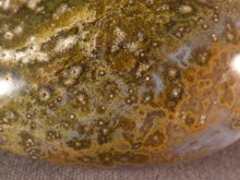 Orbicular Ocean Jasper Freeform Palm Stone - 46mm, 52g