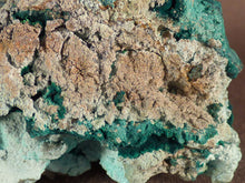 Natural Congo Malachite and Chrysocolla 'Malacolla' Specimen - 66mm, 58g