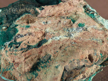Natural Congo Botryoidal Chrysocolla and Malachite 'Malacolla' Specimen - 60mm, 121g