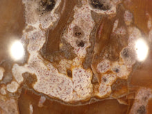 Madagascan Quartz Included Petrified Podocarpus Wood Sphere - 58mm, 388g