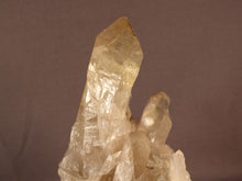 Natural Congo Citrine Cascading Crystal Cluster - 102mm, 246g