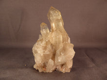 Natural Congo Citrine Cascading Crystal Cluster - 102mm, 246g