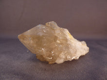 Natural Congo Citrine Cascading Crystal Cluster - 91mm, 152g