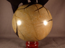 Extra Large Calcite Centered Septarian 'Dragon Stone' Geode Sphere - 117mm, 1700g
