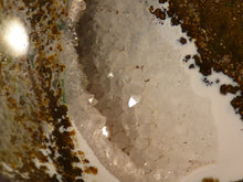 Large Orbicular Ocean Jasper Egg - 86mm, 476g
