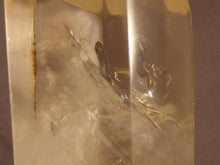 Madagascan Multi Phantom Semi Twin Pale Citrine Quartz Standing Crystal - 107mm, 297g