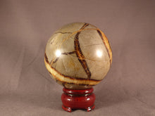 Large Madagascan Septarian 'Dragon Stone' Sphere - 83mm, 805g