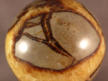 Large Madagascan Septarian 'Dragon Stone' Sphere - 83mm, 805g