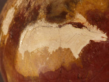 Madagascan Petrified Podocarpus Wood Sphere - 77mm, 610g