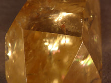 Zambian Rainbow Golden Citrine Polished Standing Crystal Point - 102mm, 237g