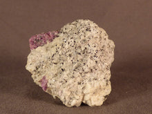 Madagascan Ruby in Quartzite Natural Specimen - 45mm, 49g