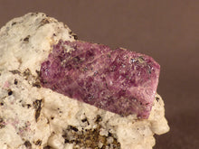 Madagascan Ruby in Quartzite Natural Specimen - 45mm, 49g