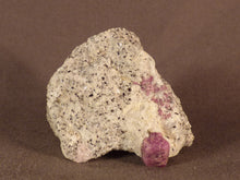 Madagascan Ruby in Quartzite Natural Specimen - 47mm, 57g