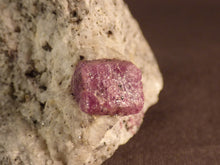 Madagascan Ruby in Quartzite Natural Specimen - 47mm, 57g