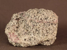 Madagascan Ruby in Quartzite Natural Specimen - 55mm, 96g