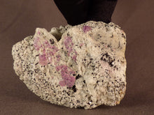 Madagascan Ruby in Quartzite Natural Specimen - 70mm, 150g
