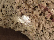 Madagascan Ruby in Quartzite Natural Specimen - 80mm, 207g