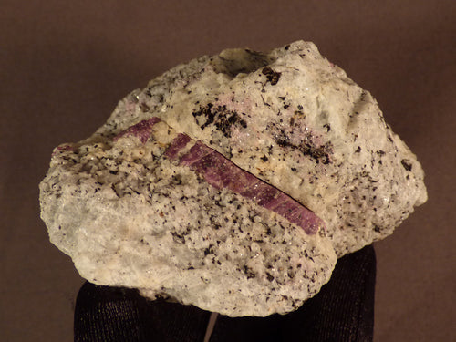 Madagascan Ruby in Quartzite Natural Specimen - 76mm, 238g