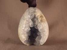 Madagascan Celestine Geode Egg - 86mm, 509g