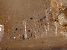 Natural Unique 'Hammerhead' Akansobe Amethyst Specimen - 131mm, 278g