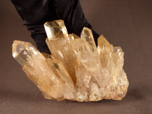Natural Congo Citrine Crystal Cluster - 103mm, 445g