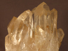 Natural Congo Citrine Crystal Cluster - 117mm, 421g