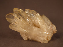 Natural Congo Citrine Crystal Cluster - 108mm, 411g
