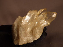 Natural Congo Citrine Crystal Cluster - 108mm, 411g