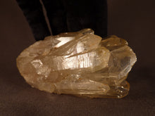 Natural Congo Citrine Crystal Cluster - 81mm, 219g