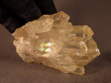 Natural Congo Citrine Crystal Cluster - 81mm, 219g