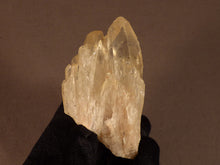 Natural Congo Citrine Crystal Cluster - 72mm, 83g