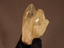 Natural Congo Citrine Crystal Cluster - 72mm, 83g