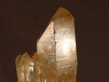 Natural Congo Citrine Crystal Cluster - 84mm, 78g