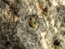 Natural Madagascan Chrysoberyl Specimen - 73mm, 314g