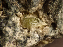 Natural Madagascan Chrysoberyl Specimen - 73mm, 314g
