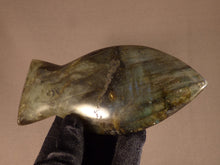 Polished Labradorite Fish Carving - 145mm, 261g