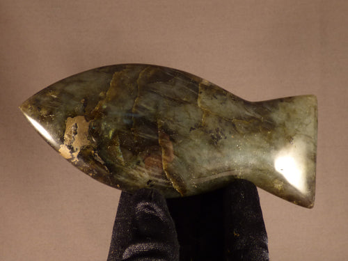 Polished Labradorite Fish Carving - 145mm, 261g