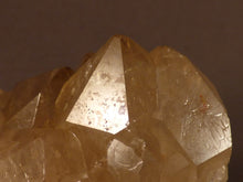 Natural Congo Citrine Crystal Cluster - 55mm, 152g