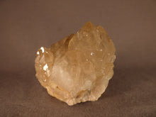 Natural Congo Citrine Crystal Cluster - 55mm, 152g