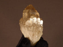 Natural Congo Citrine Cluster - 61mm, 69g