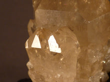Natural Congo Citrine Cluster - 61mm, 69g