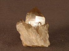 Natural Congo Citrine Cluster - 48mm, 68g
