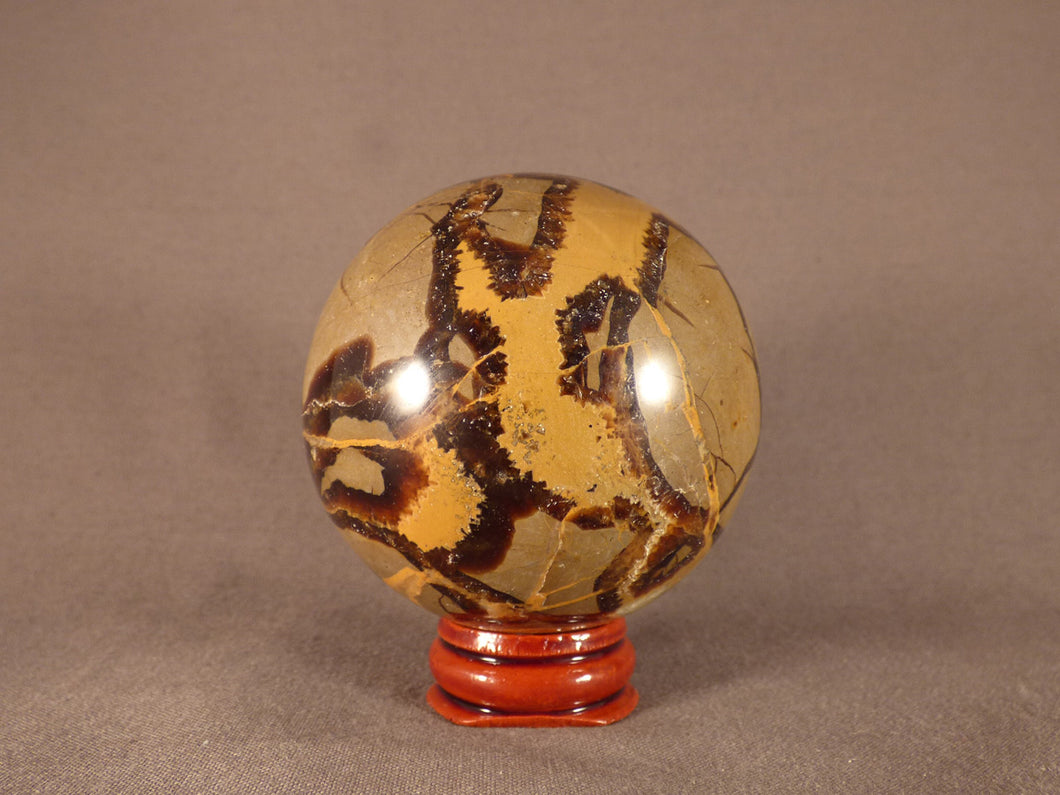 Madagascan Septarian Sphere - 63mm, 340g