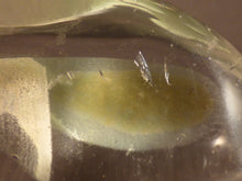 Madagascan Chlorite Included Clear Quartz Freeform Palm Stone - 52mm, 48g