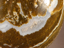 Large Orbicular Ocean Jasper Egg - 114mm, 922g