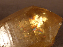 Natural Congo Golden Citrine Crystal Point - 40mm, 25g