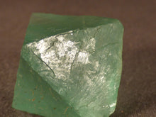 Madagascan Green Fluorite Octahedron Natural Specimen - 32mm, 22g